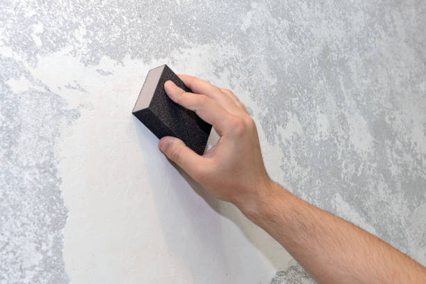 Best Industrial Mold Remediation  in Wauchula, FL
