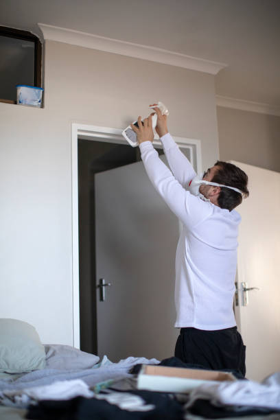 Best Comprehensive Air Testing for Mold Contaminants  in Wauchula, FL