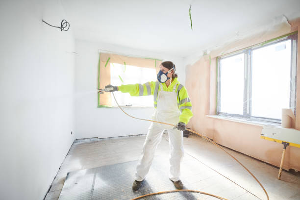 Best Environmental Consulting for Mold Prevention  in Wauchula, FL
