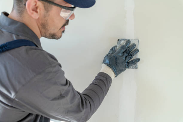 Best Dehumidification Services  in Wauchula, FL