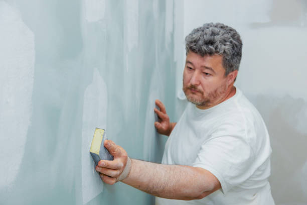 Best Mold Damage Restoration  in Wauchula, FL