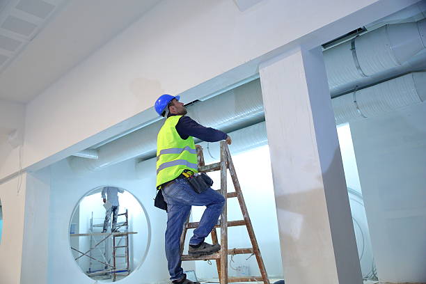 Best Attic Mold Removal  in Wauchula, FL