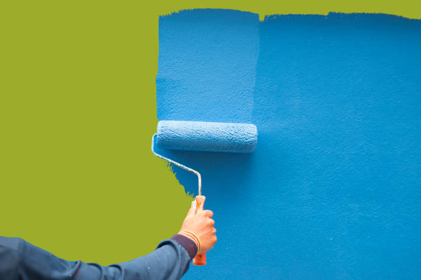 Reliable Wauchula, FL Mold Removal Solutions
